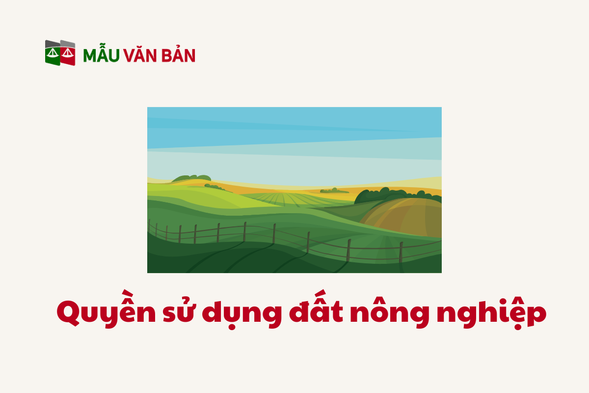 quyền sử dụng đất_3.png