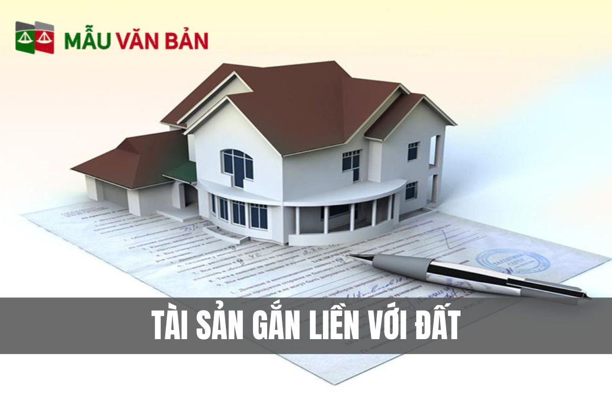 tài sản gắn liền với đất.jpg
