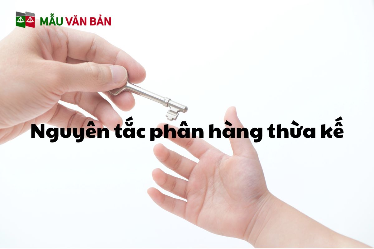thừa kế thế vị là gì 1.jpg