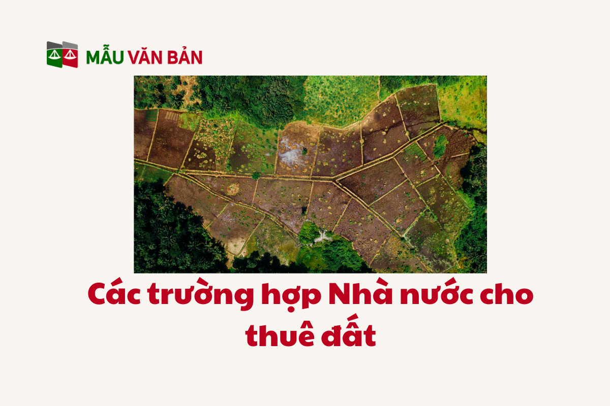 thuê đất_2.png