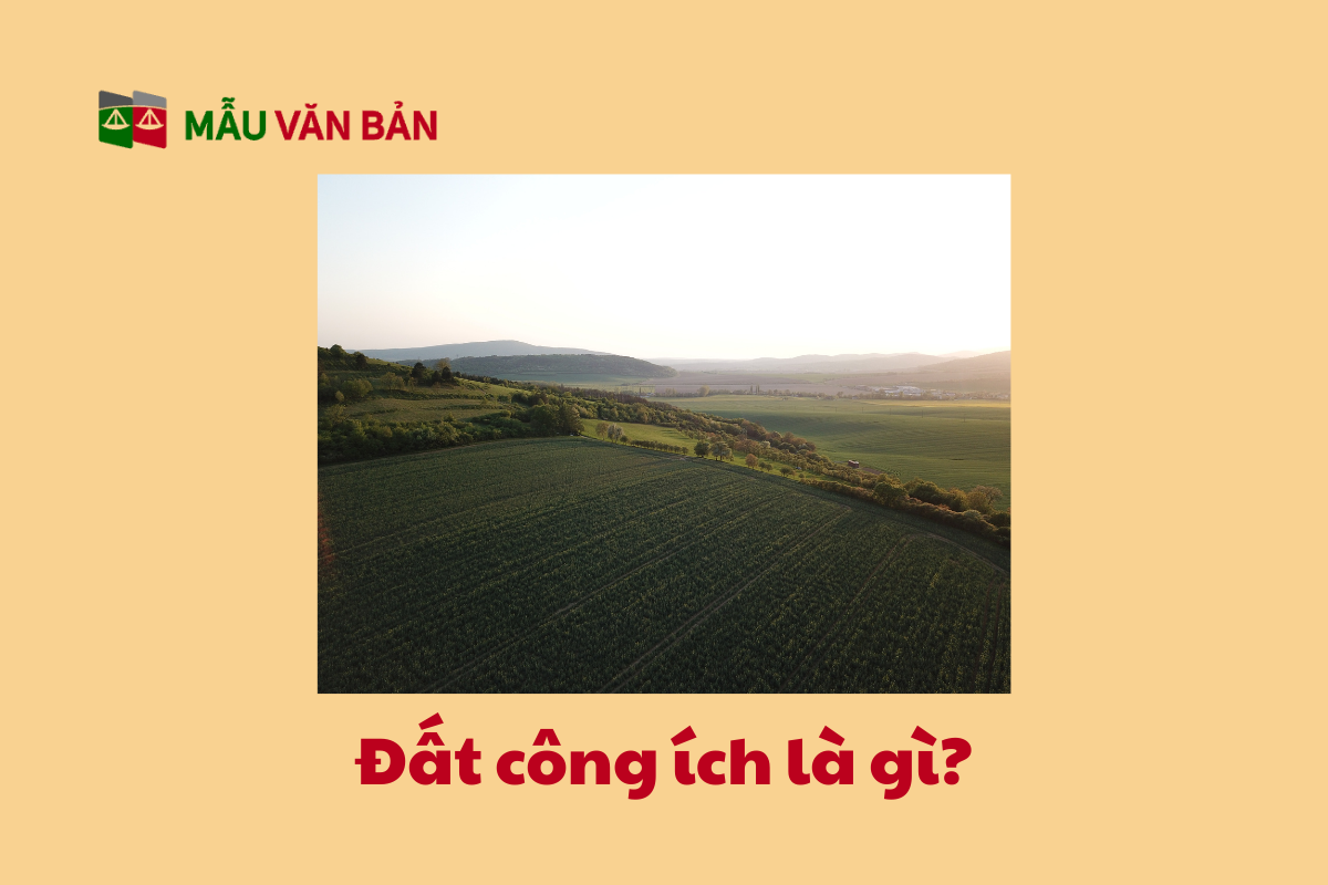 thuê đất công ích_2.png