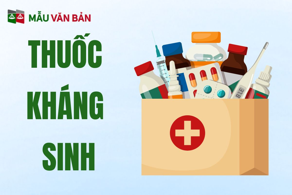 thuốc kháng sinh.jpg