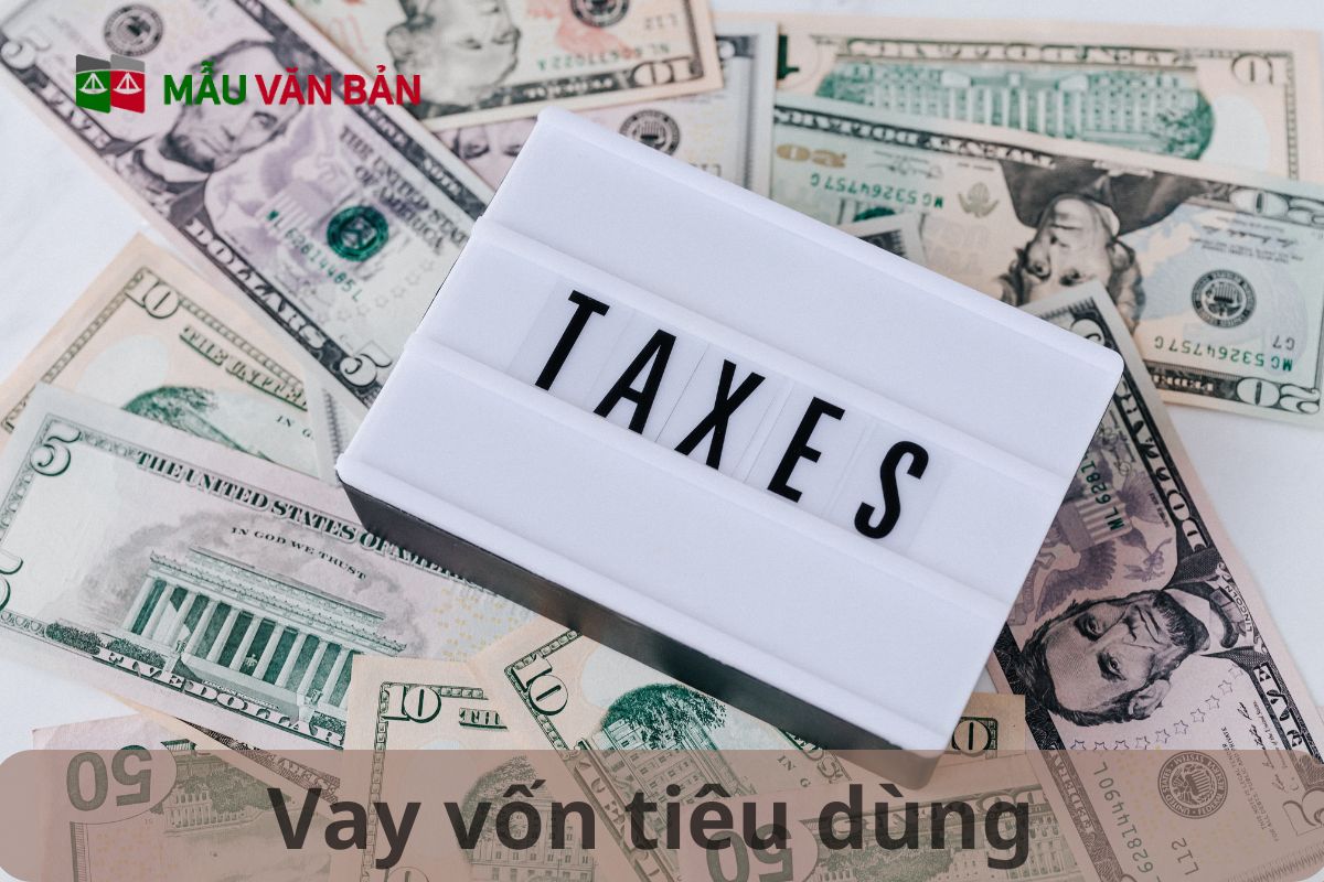 vay vốn tiêu dùng (3).jpg