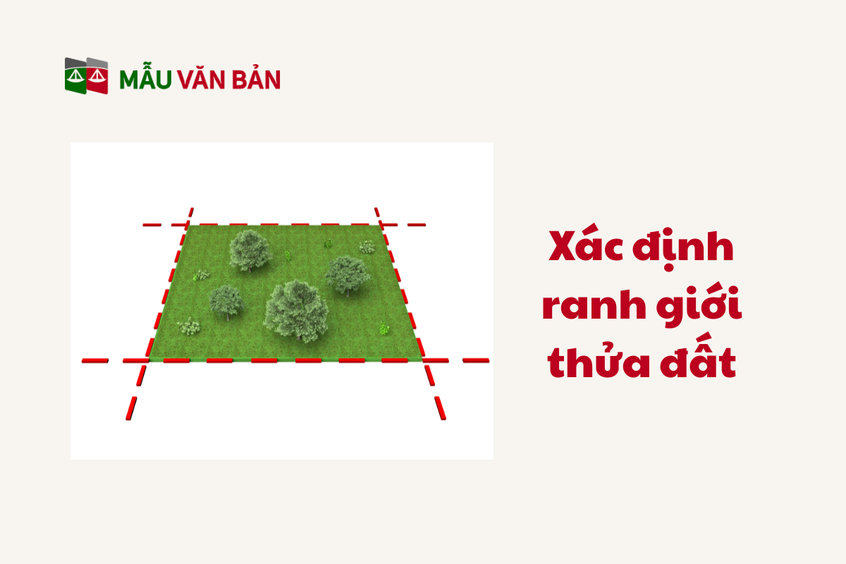xác nhận ranh giới đất_2.png