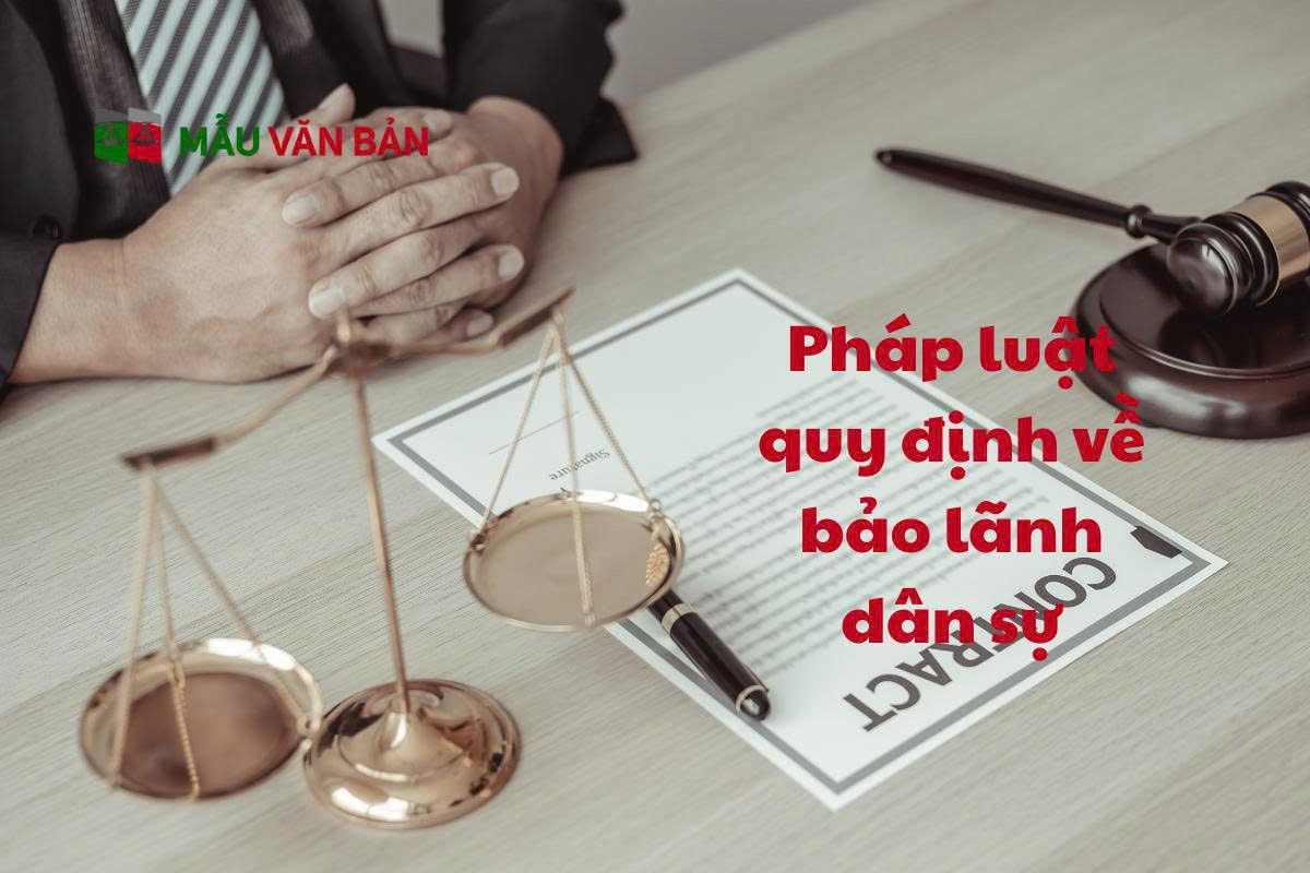 Bảo Lãnh Dân Sự_3
