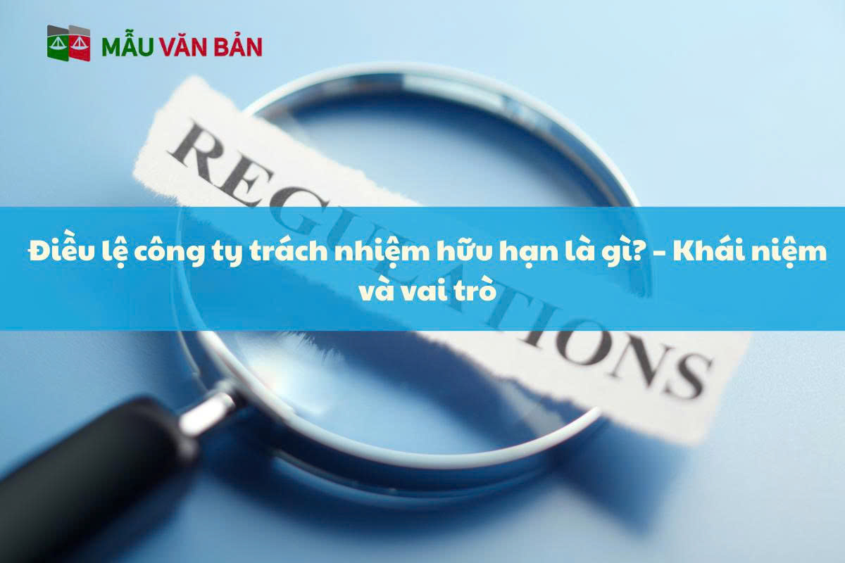 Điều lệ công ty trách nhiệm hữu hạn là gì?.jpg