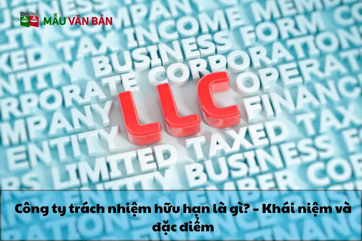 công ty trách nhiệm hữu hạn-Khái niệm và đặc điểm.jpg