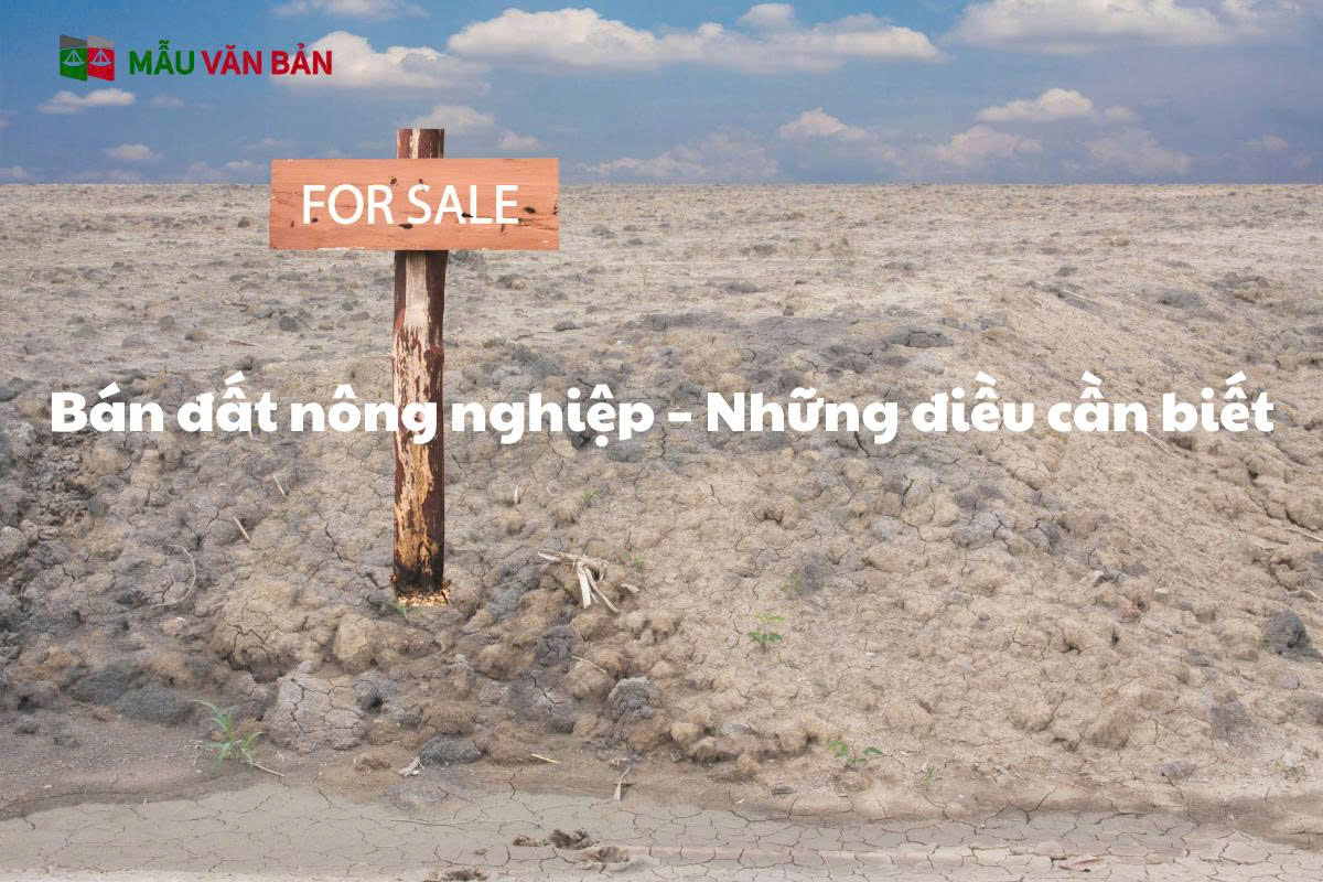 đất nông nghiệp 3.jpg